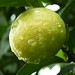 Juan Limon Photo 33