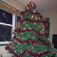 Donna Wells Photo 5