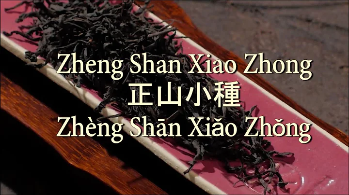 Detong Zheng Photo 5