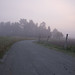 Mark Campagna Photo 25