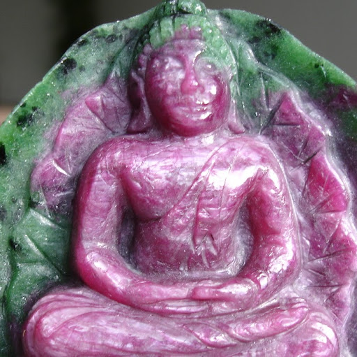 Son Vu Photo 11