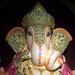 Bhavin Patel Photo 48