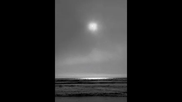 Patrick Calvo Photo 18