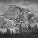 Paul Ansel Photo 25