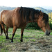 Romeo Nava Photo 22