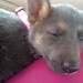 Brenda Burleson Photo 26