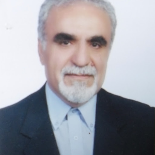 Reza Tehrani Photo 15