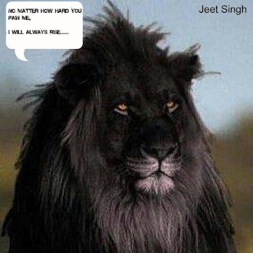 Jeet Singh Photo 10