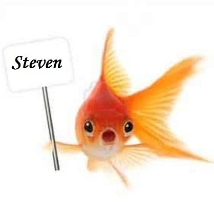 Steven Yuen Photo 11