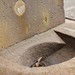 John Beecroft Photo 25