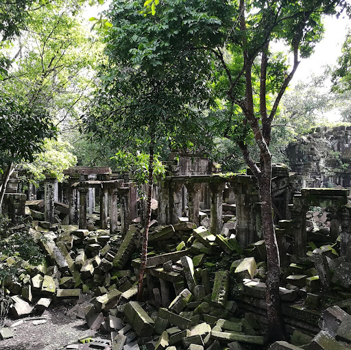 Meng Yang Photo 10