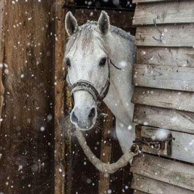 Lisa Matthews Photo 17