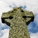Tara Cross Photo 43
