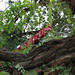 Dave Palmer Photo 47
