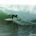 Ann Fitzgibbon Photo 23