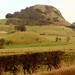 Mark Spearman Photo 28