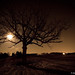 Jamie Wolf Photo 45