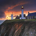 David Phares Photo 31