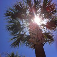 Randall Miller Photo 12