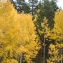 Jennifer Spengler Photo 20