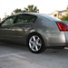 Maxima Sales Photo 13