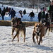 Jonathan Schechter Photo 30