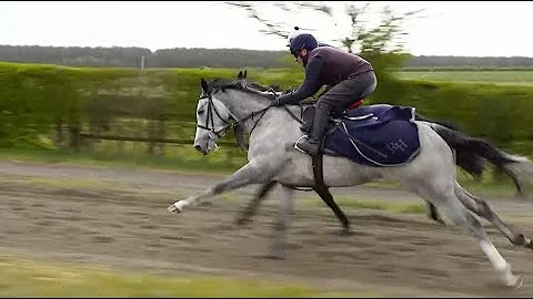 Richard Hannan Photo 26