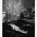 Allen Pack Photo 26