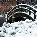 Timothy Bridge Photo 26