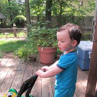 Sandra Lapham Photo 3