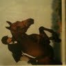 Amy Levenson Photo 5