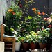 Sue Stuhl Photo 8