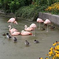 Barbara Comstock Photo 8