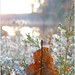 Heather Frost Photo 44