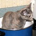 Minnie Cooks Photo 19