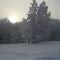 Matthew Mallett Photo 7