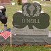 Michael O'Neil Photo 27