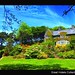 Kerry Ard Photo 19