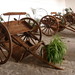 Dolores Brown Photo 42