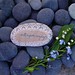 Cathy Cotton Photo 38