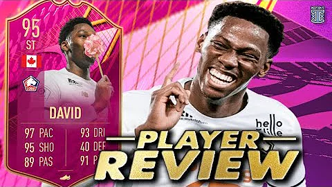 David Player Photo 33