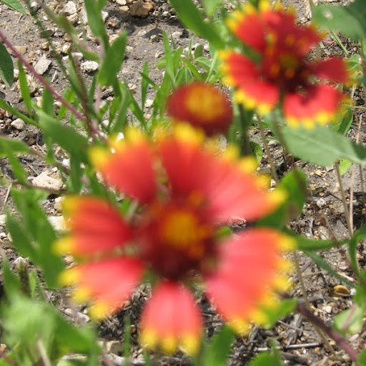 Reba Watson Photo 7