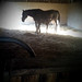 Amanda Puckett Photo 39