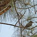 Marsha Park Photo 25