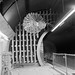 Peter Corson Photo 19