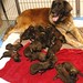 Mary Leonberger Photo 13