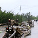 Long Nguy Photo 19