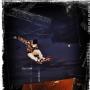 Brian Wolf Photo 33