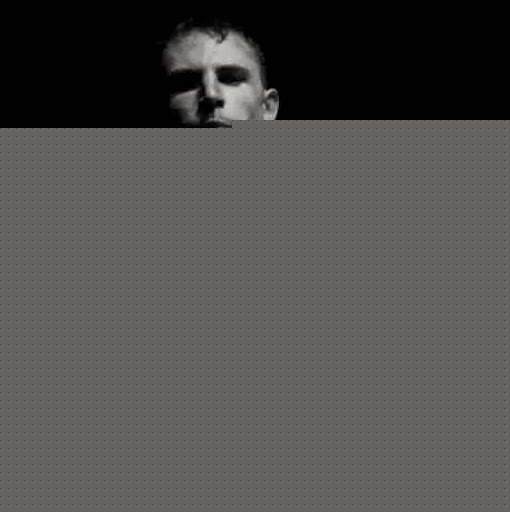 Mark Timms Photo 12