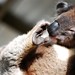 Barry Havens Photo 15